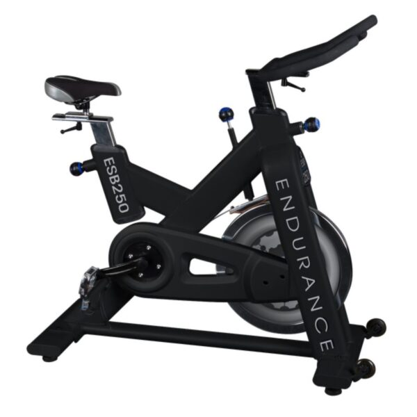 Body-Solid Endurance ESB150 Indoor Exercise Bike