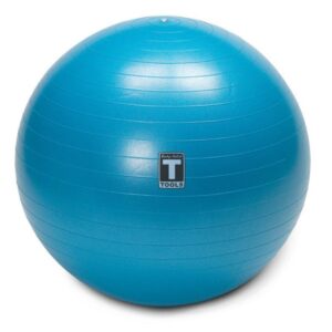 Body-Solid Stability Balls