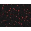 Vortex Rubber Rolls Black with Red Specks VS103 – 8mm